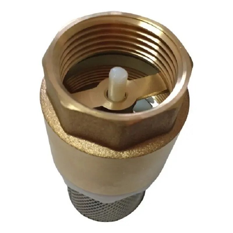 Válvula Retenção Fundo de Poço 3/4 latão Tela em Aço Inox